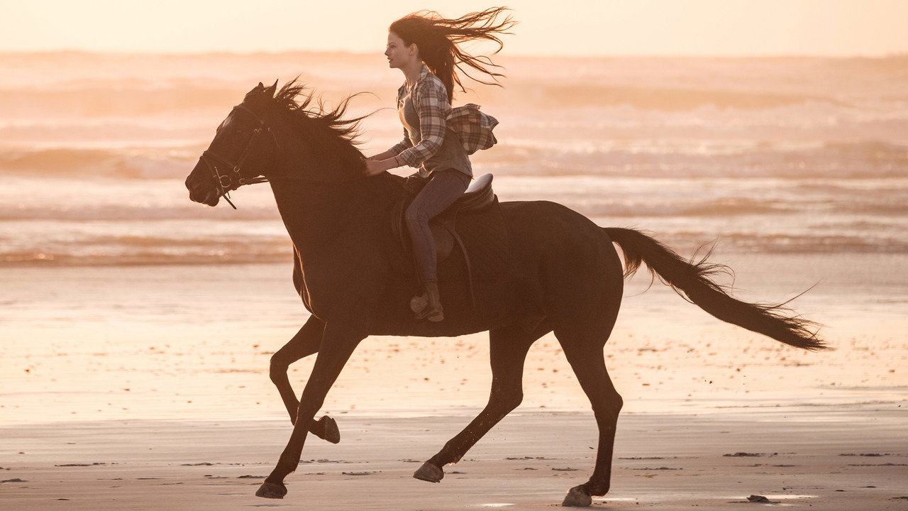 Black Beauty wallpaper 9 — 3000×1688 cinematic backdrop
