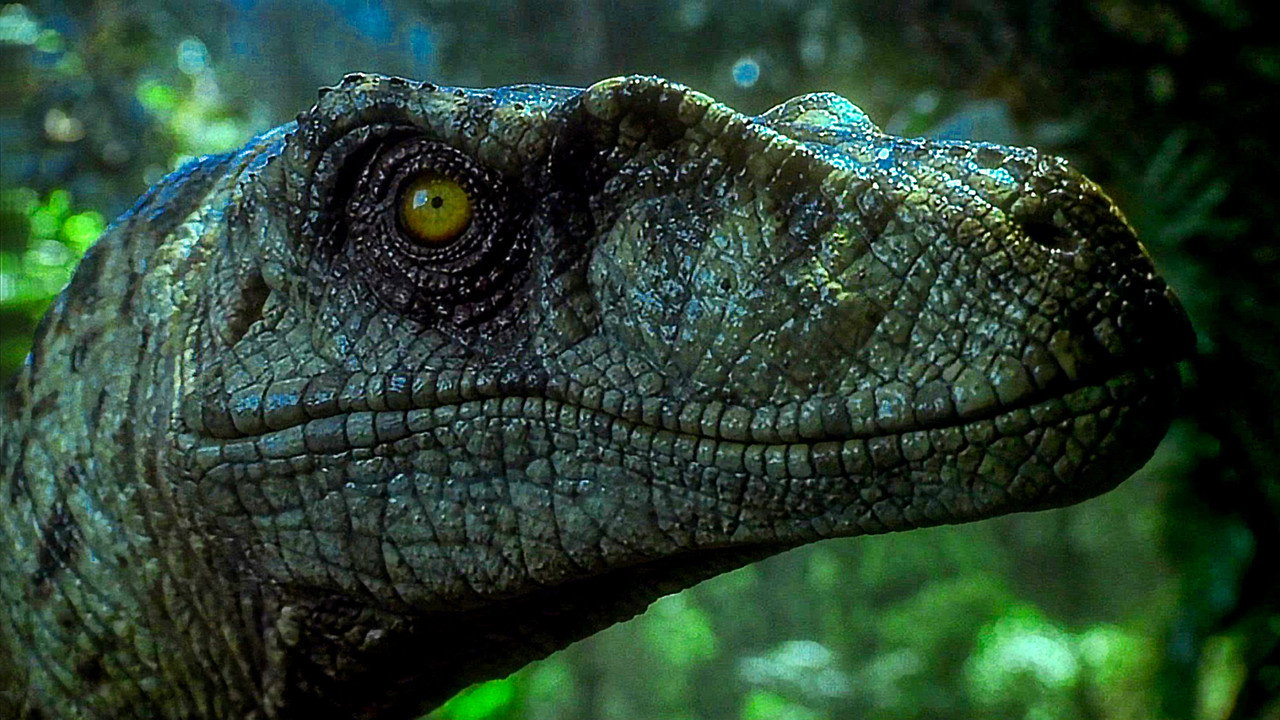 The Lost World: Jurassic Park wallpaper 5 — 4K cinematic backdrop