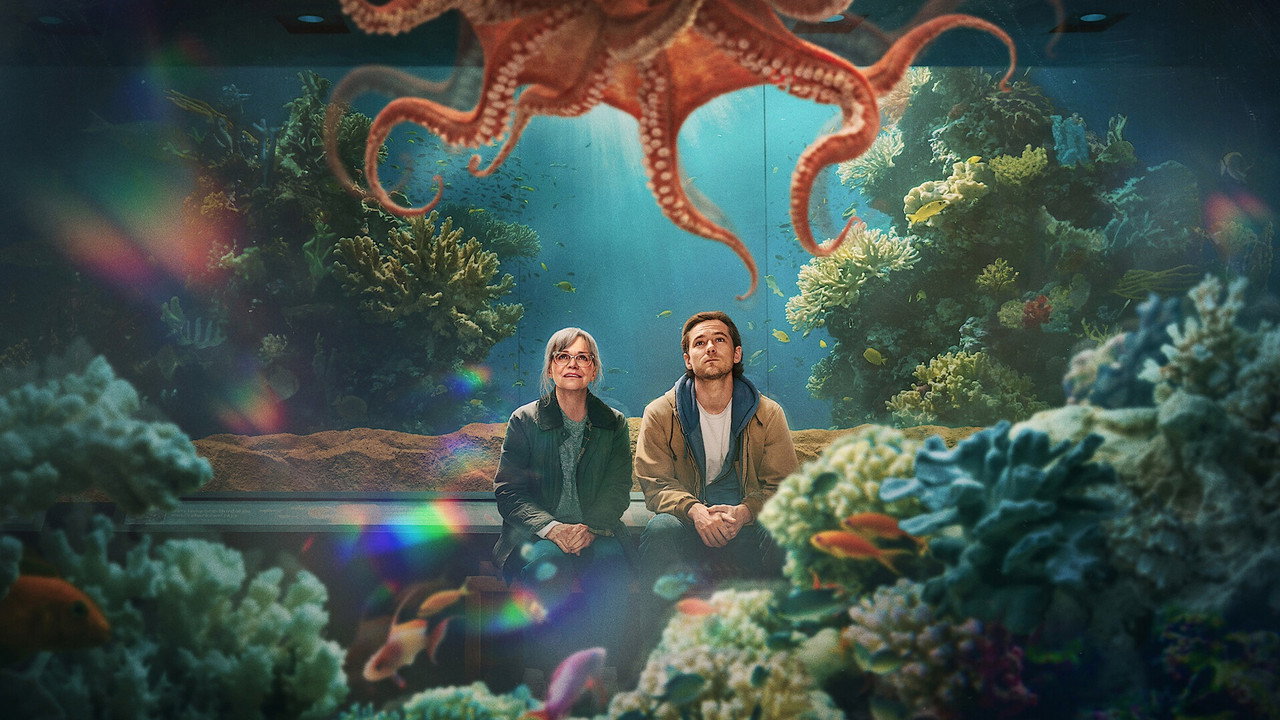 Remarkably Bright Creatures wallpaper 29 — 1920×1080 cinematic backdrop