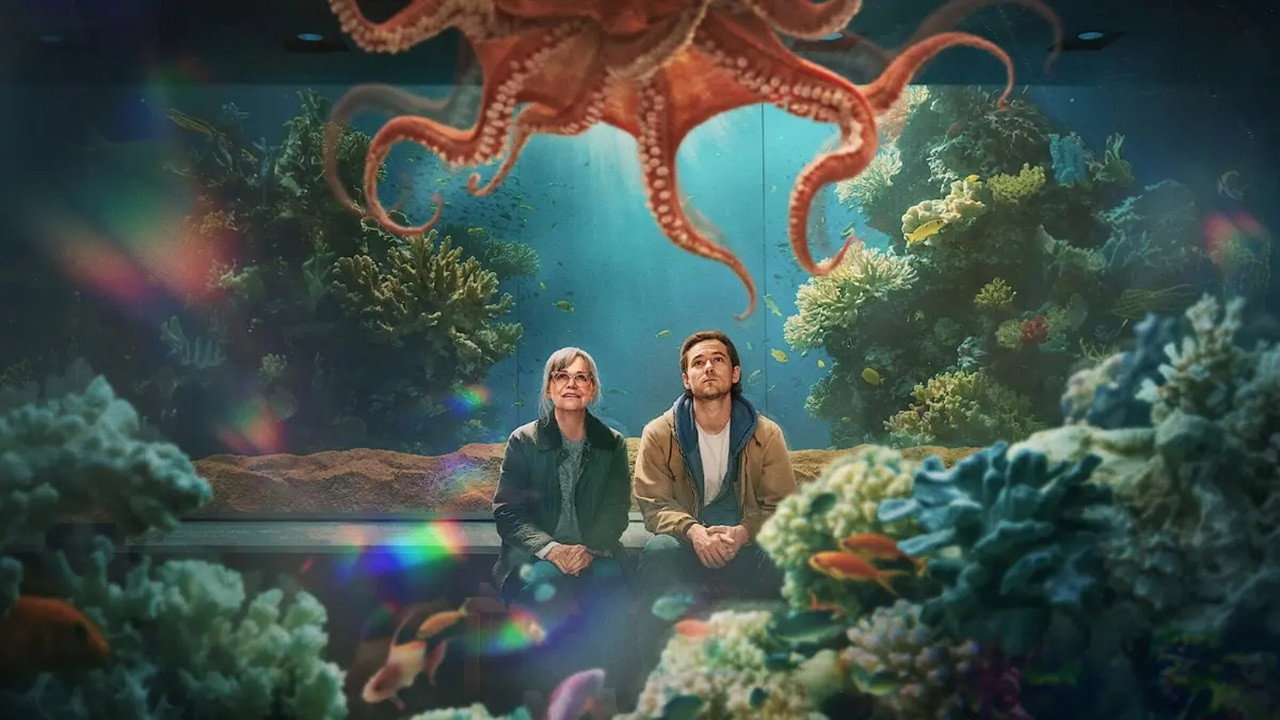 Remarkably Bright Creatures wallpaper 42 — 1280×720 cinematic backdrop