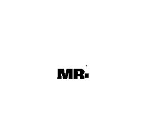 Mr. X