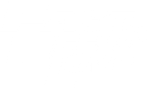 Fast & Feel Love