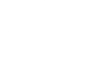 Special Rescue Police Winspector