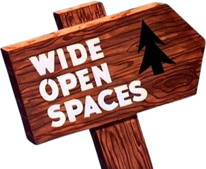 Wide Open Spaces