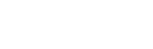 Spy