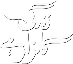 Zindagi Gulzar Hai