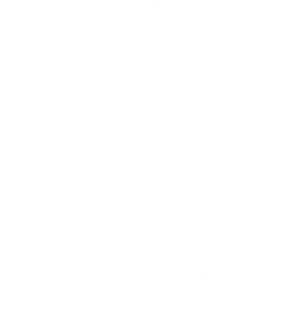 The 39 Steps