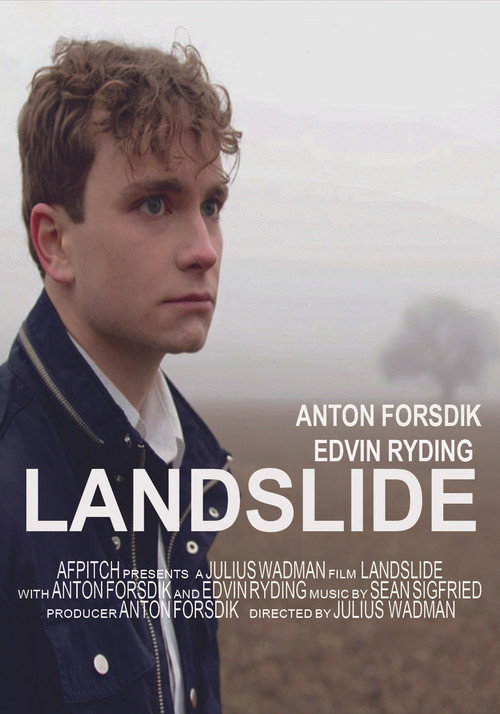 Landslide vertical backdrop 1