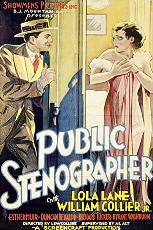 Public Stenographer vertical backdrop 3