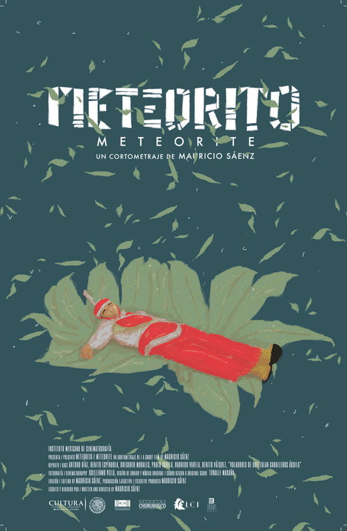 Meteorite vertical backdrop 1