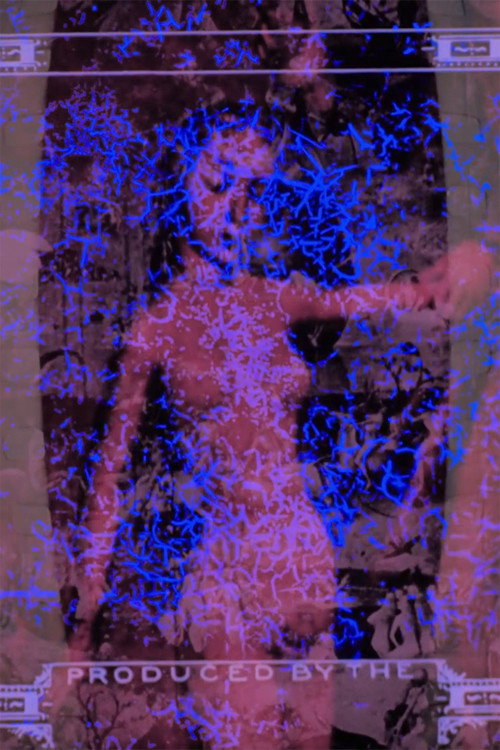 Motion Picture vertical backdrop 1