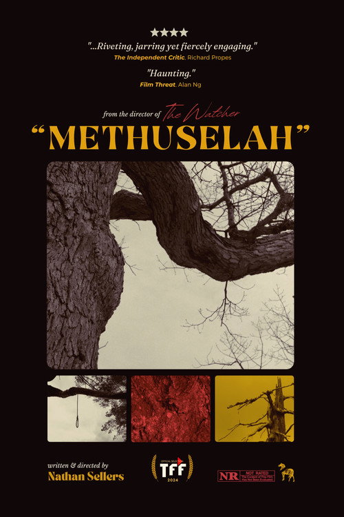 Methuselah vertical backdrop 4