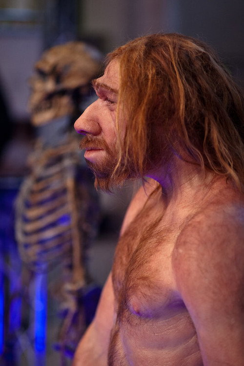 Prehistoric Autopsy vertical backdrop 2