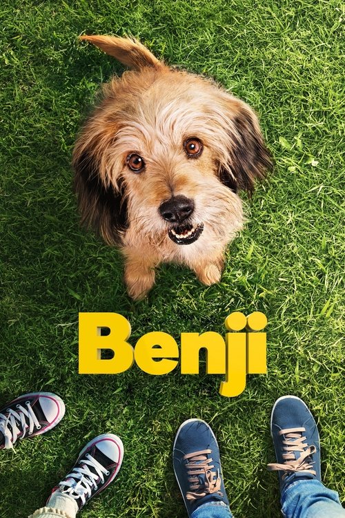 Benji vertical backdrop 1