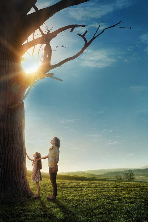 Miracles from Heaven vertical backdrop 1