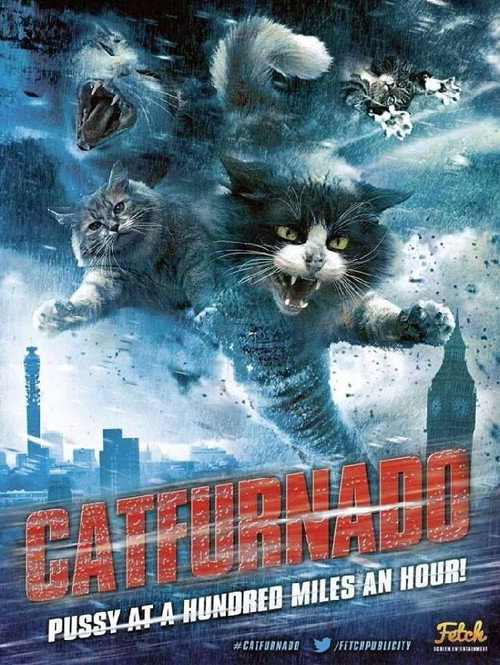 Catnado vertical backdrop 3