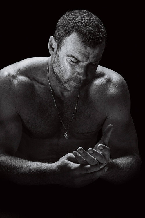 Ray Donovan vertical backdrop 2