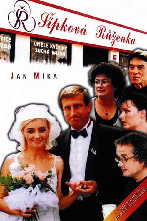 Šípková Růženka vertical backdrop 1