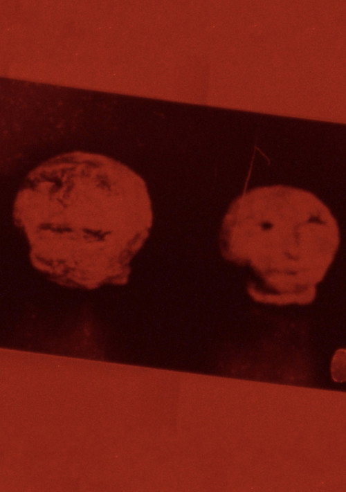 Hexham Heads vertical backdrop 1