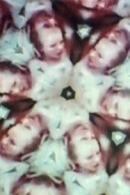 Awe Shocks vertical backdrop 2
