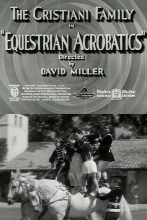 Equestrian Acrobats vertical backdrop 1