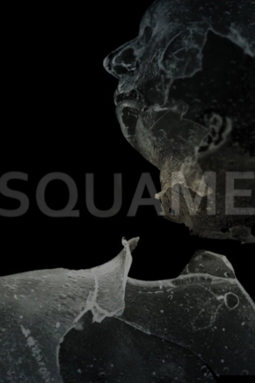 Squame vertical backdrop 1