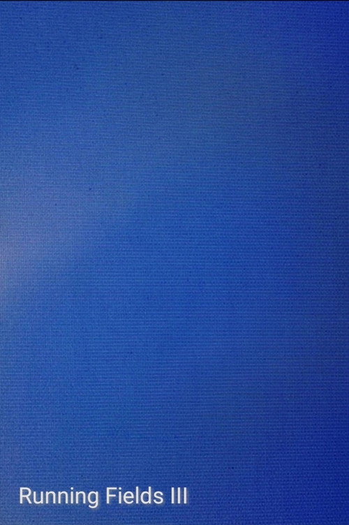 Running Fields III vertical backdrop 1