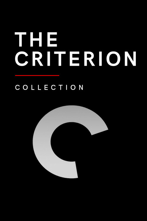 Criterion Designs vertical backdrop 4