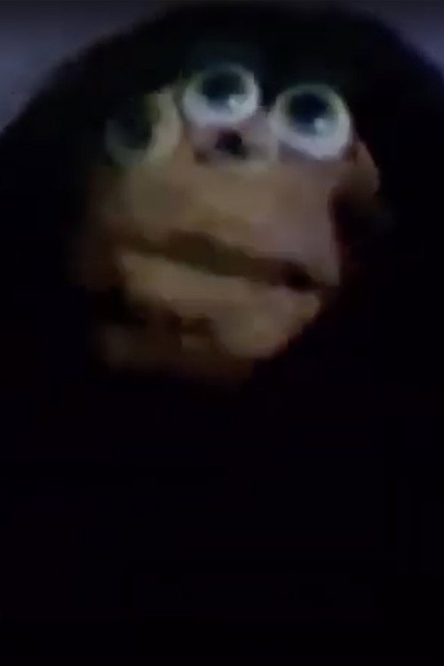 Frog Prince vertical backdrop 1