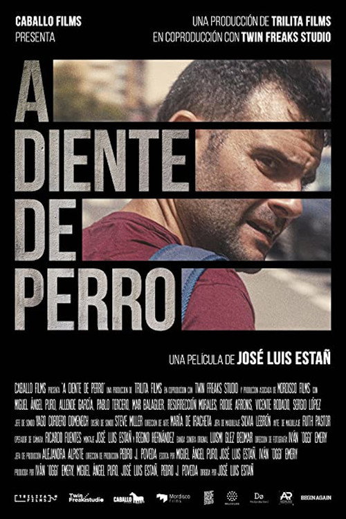 A diente de perro vertical backdrop 1