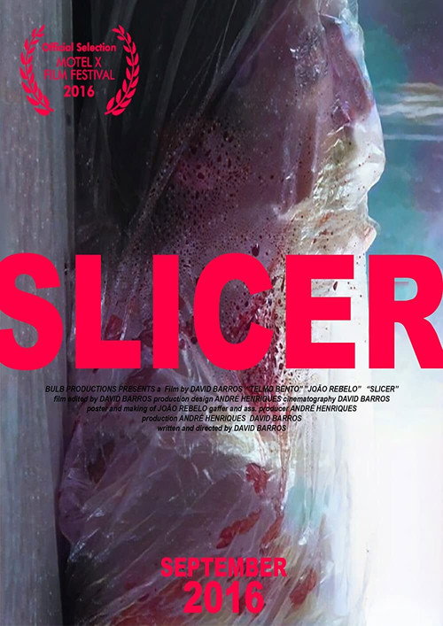 Slicer vertical backdrop 1