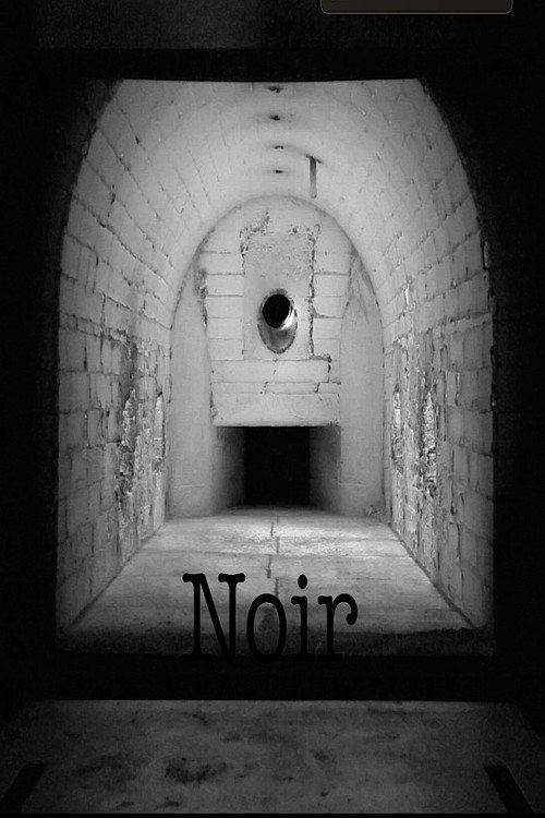 Noir vertical backdrop 1