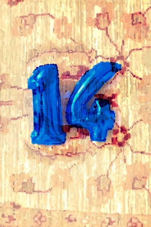 14 vertical backdrop 1