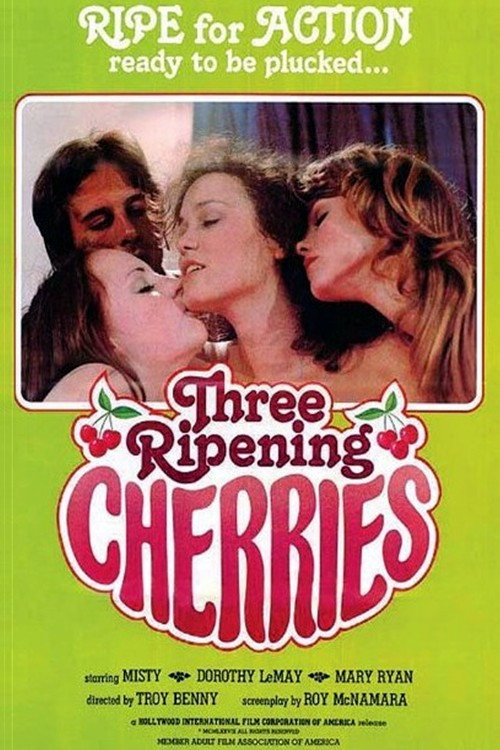 Three Ripening Cherries vertical backdrop 3