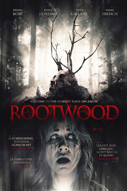 Rootwood vertical backdrop 3