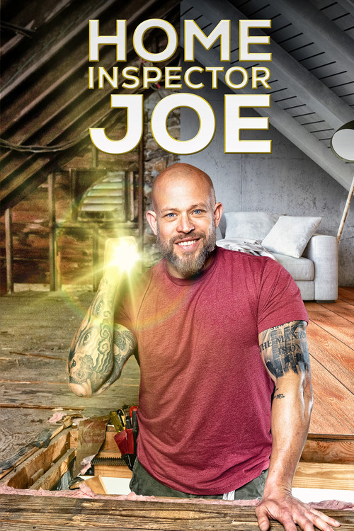 Home Inspector Joe vertical backdrop 2