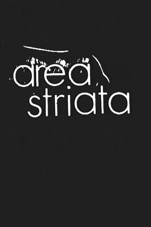 Area Striata vertical backdrop 1