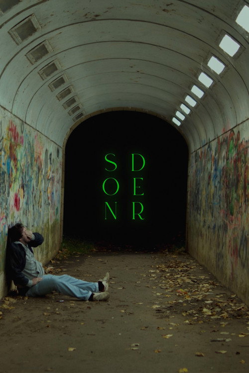 Sonder vertical backdrop 1
