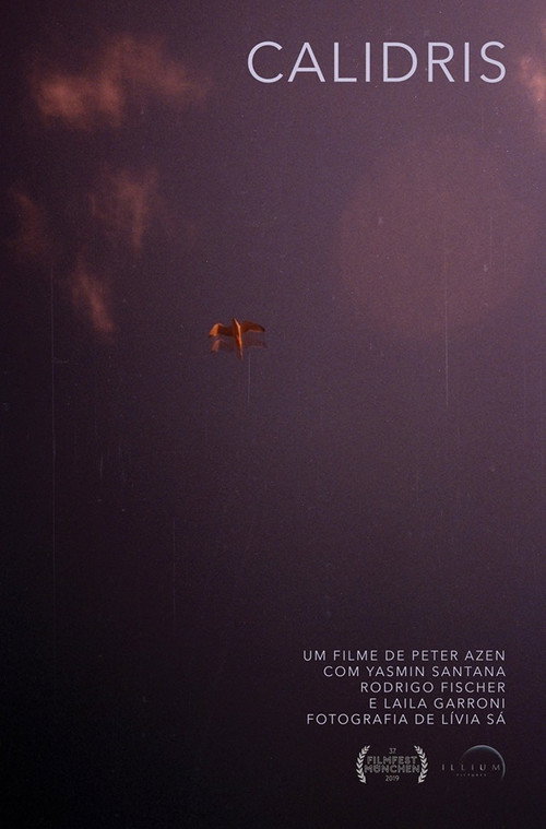 Calidris vertical backdrop 1
