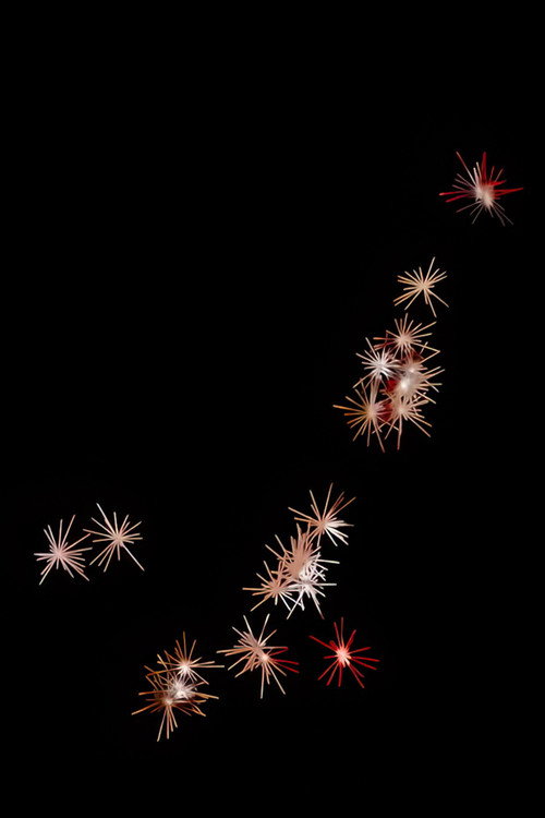 Blackout vertical backdrop 1