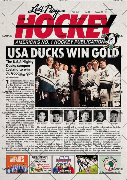 D2: The Mighty Ducks vertical backdrop 3