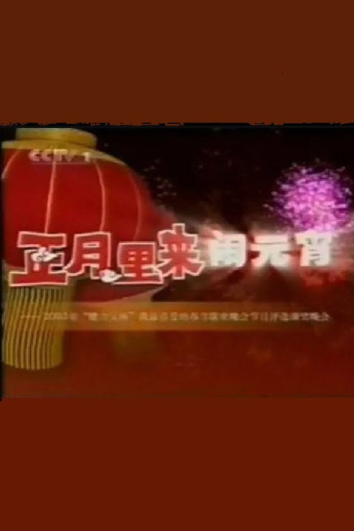 2003年中央电视台元宵晚会 vertical backdrop 1