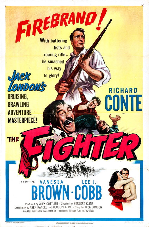 The Fighter vertical backdrop 1