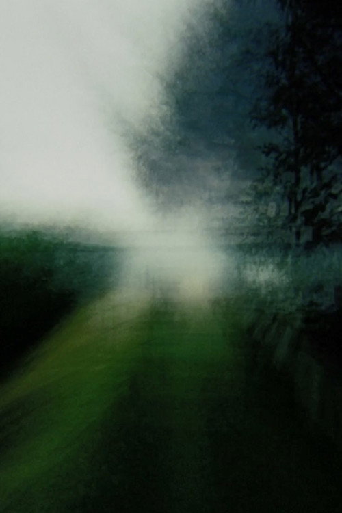 Brouillard #5 vertical backdrop 1