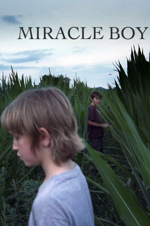 Miracle Boy vertical backdrop 1