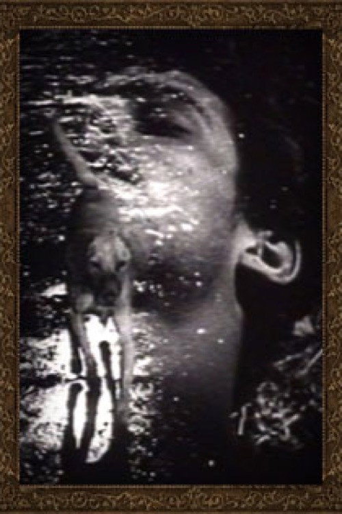 Buñuel vertical backdrop 1